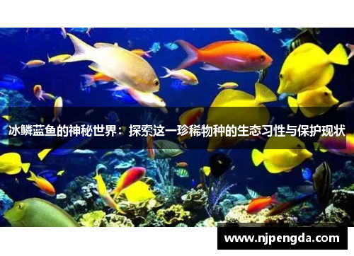 冰鳞蓝鱼的神秘世界：探索这一珍稀物种的生态习性与保护现状
